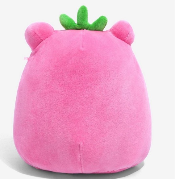 Lunch Box Exclusive Adabelle/Strawberry Frog Squishmallows! - Picture 2 of 5
